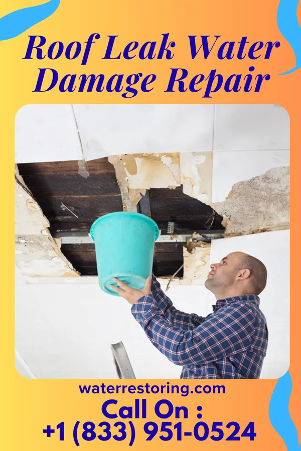Roof Leak Water Damage Repair in Pollock, LA