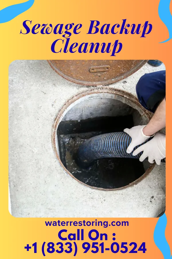 Sewage Backup Cleanup in Pollock, LA